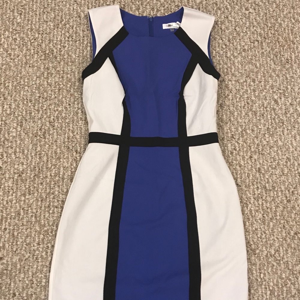 Calvin Klein Color Block sheath dress